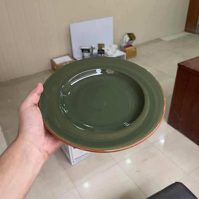 Leftover 9 inch Deep plate ( Dark Green Colorline )