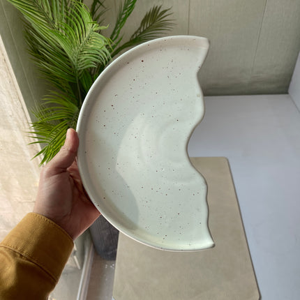 Leftover 10 inch Half Classic Plate ( White matte with brown specks )