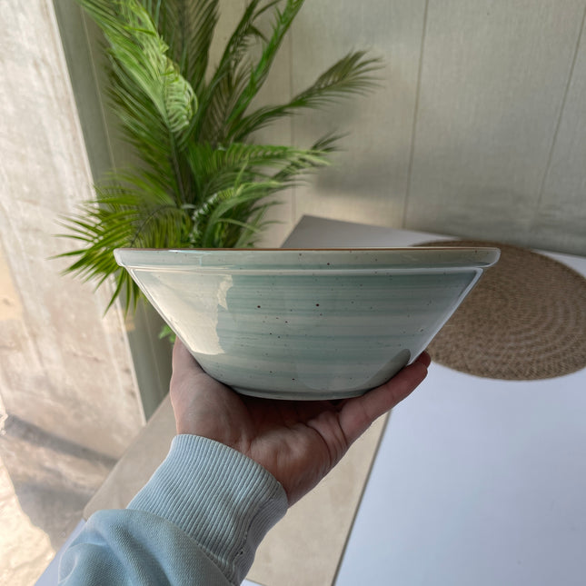 Leftover 9 inch V Shaped Bowl ( Teal Colorline )