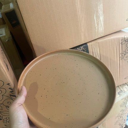 Leftover 10 inch Classic Plate ( Terracotta Matte with Black Specks )