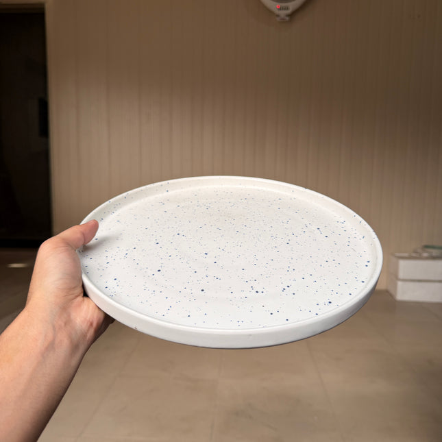 Leftover 12 inch Classic Plate ( Snow Abyss )