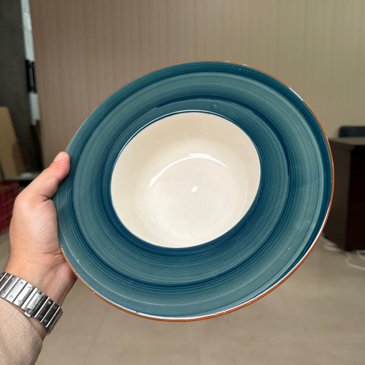 Leftover 10 inch pro pasta plate ( Peacock Green Colorline )