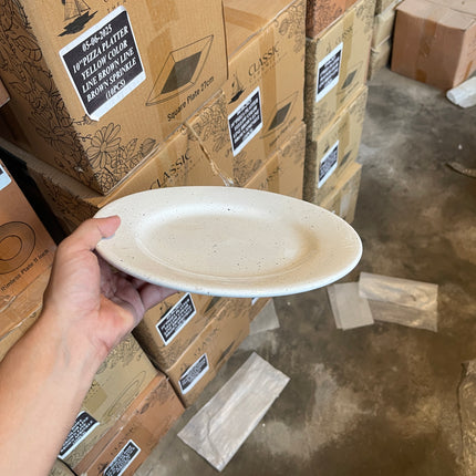 Leftover 10 inch Flat Plate ( Glossy white with Black Specks )