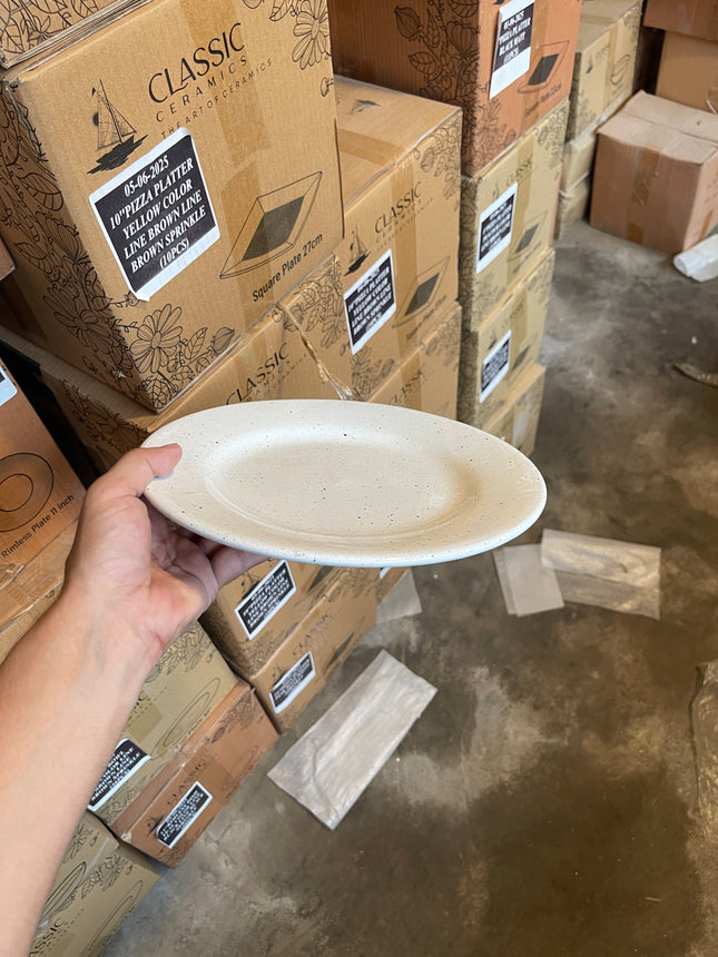 Leftover 10 inch Flat Plate ( Glossy white with Black Specks )