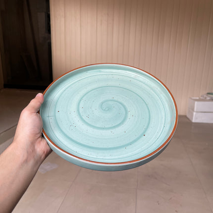 leftover 10 inch classic plate ( Teal Colorline )