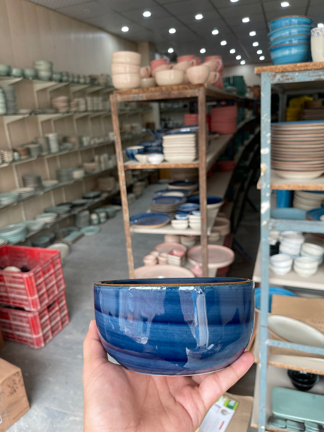 Leftover 6 inch Noodle Bowl ( Indigo )