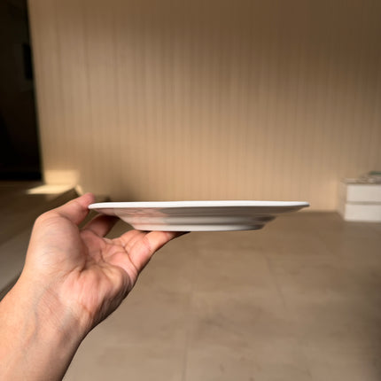 Leftover 8 inch flat plate ( Glossy White )