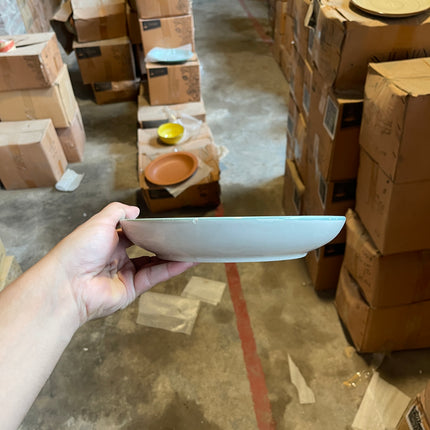 Leftover 8.5 inch Entree Bowl ( Teal Colorline )