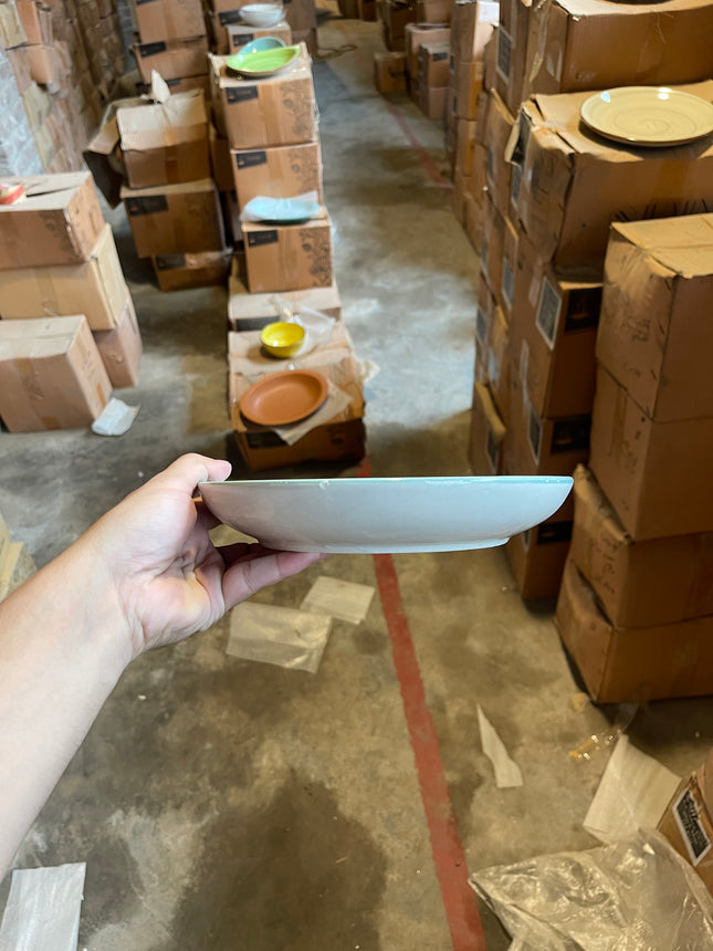 Leftover 8.5" Entree Bowl ( Teal Colorline )