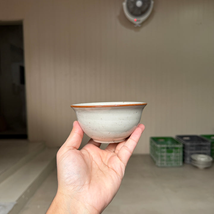 Leftover 4.5 inch raita bowl ( Ash )