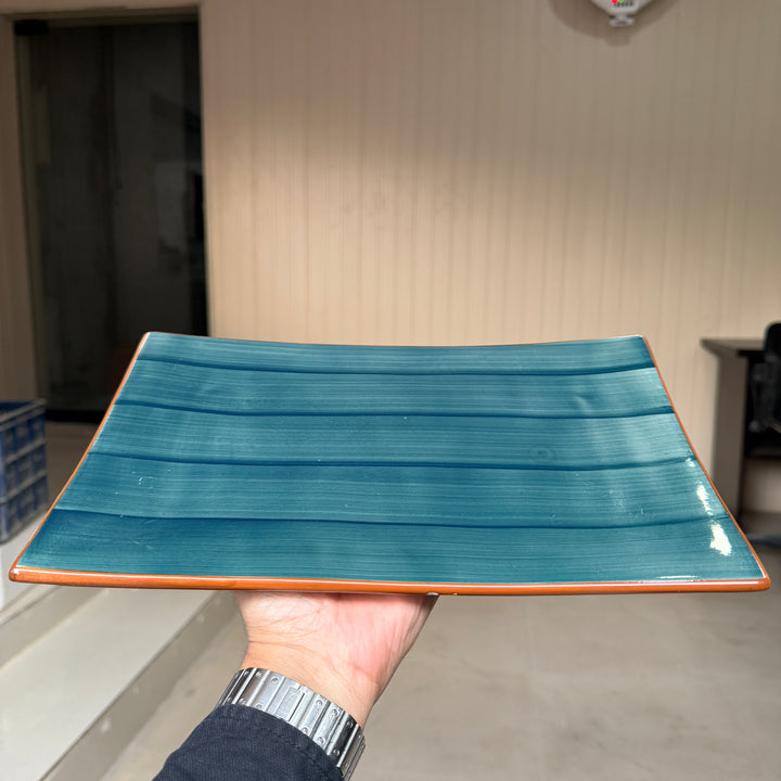 Leftover 12" x 8" Steak Platter ( Peacock Green Colorline )