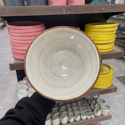 Leftover 9 inch V Shaped Bowl ( Grey Colorline )