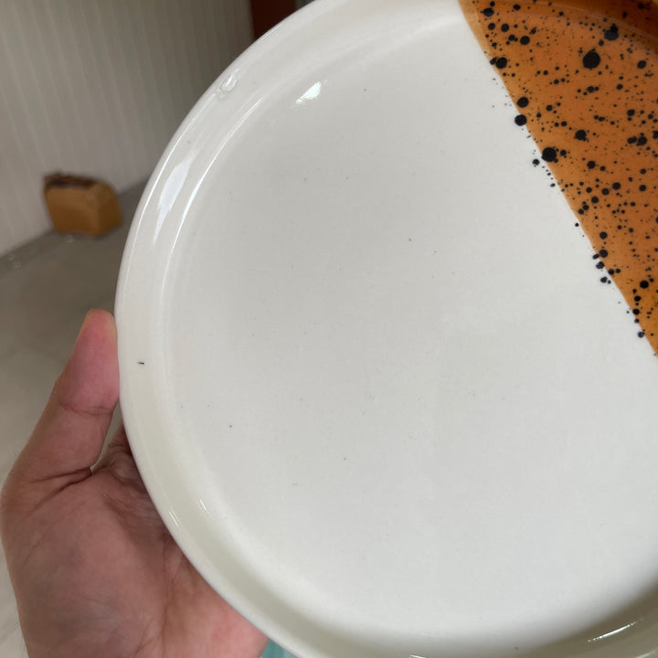 Leftover 8 inch Classic Plate ( Sandstorm Series )
