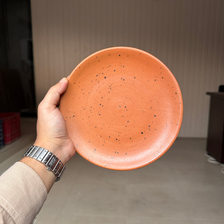 Leftover 8 inch Rimless Plate ( Terracotta matte with black specks ) ( Set of 6 )