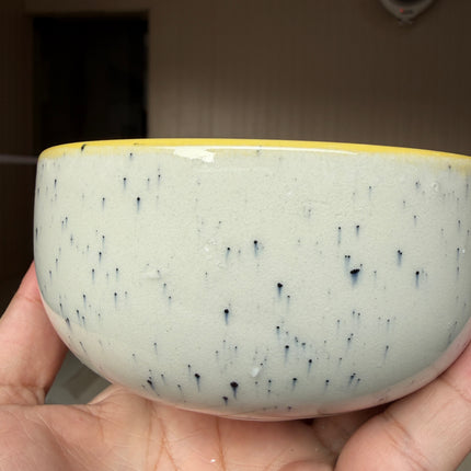 Leftover 4.5 inch Single Serving Bowl ( Sunbeam )