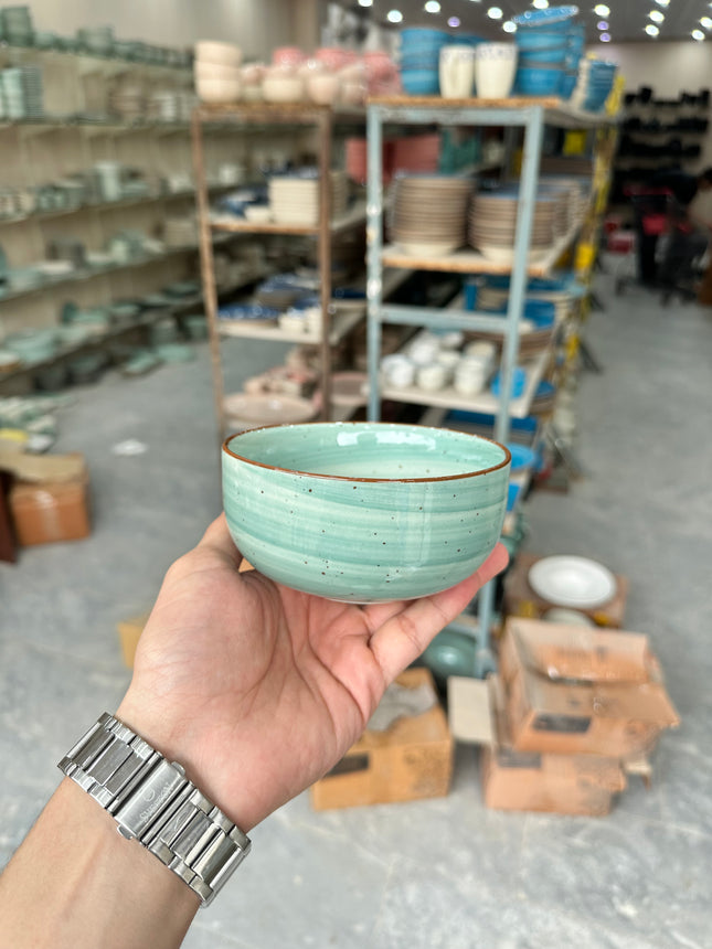 Leftover 5 inch Single Serving Bowl ( Teal Colorline )