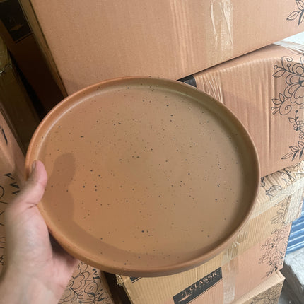 Leftover 10 inch Classic Plate ( Terracotta Matte with Black Specks )