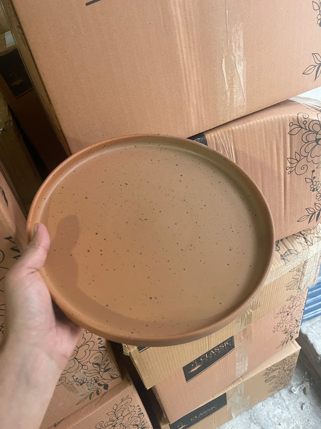 Leftover 10 inch Classic Plate ( Terracotta Matte with Black Specks )