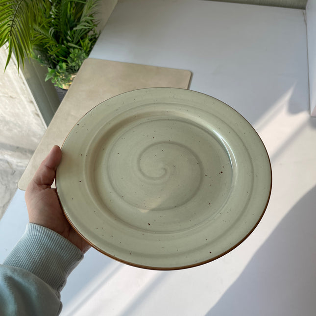 Leftover 10 inch Flat Plate ( Grey Colorline )