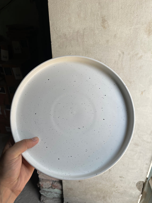 Leftover 10 inch Classic Plate ( White Matte with Black Specks )