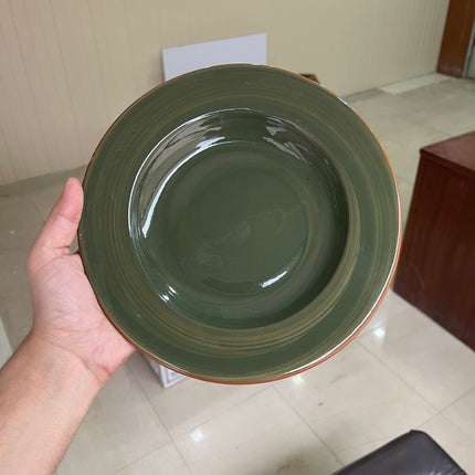 Leftover 9 inch Deep plate ( Dark Green Colorline )