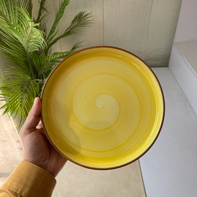 Leftover 8 inch Classic Plate ( Yellow Colorline )