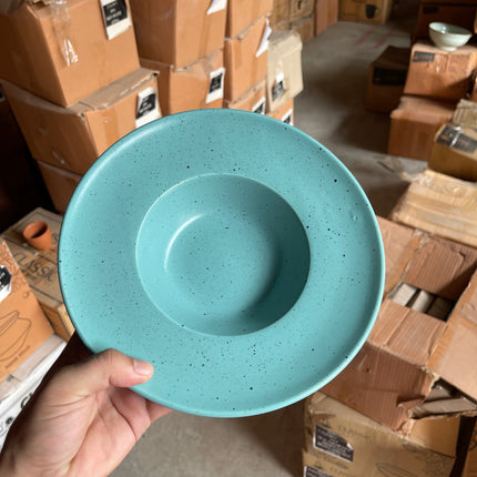 Leftover 9.5 inch Pasta Plate ( Firozi Matte with Black Specks )
