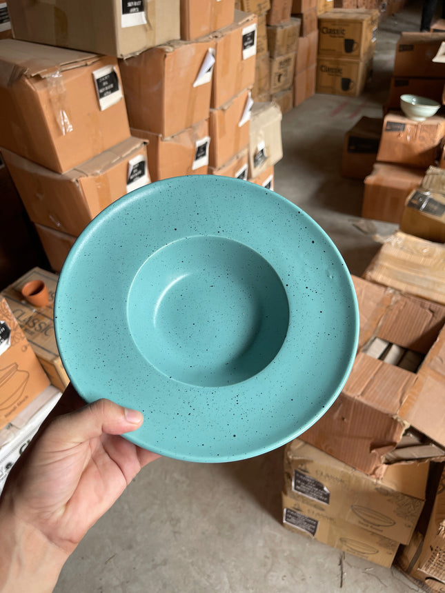 Leftover 9.5 inch Pasta Plate ( Firozi Matte with Black Specks )