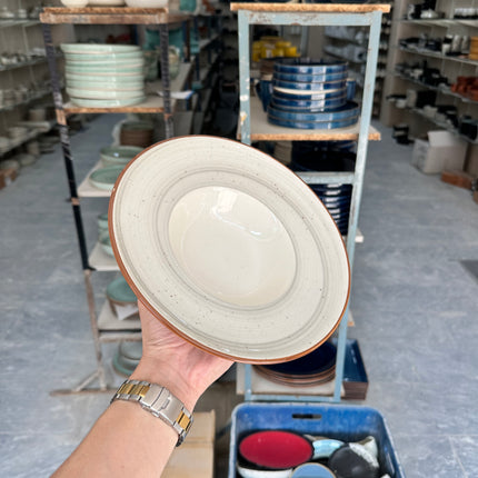 Leftover 9.5 inch Pasta Plate ( Grey Colorline Brown Line With Brown Specks )