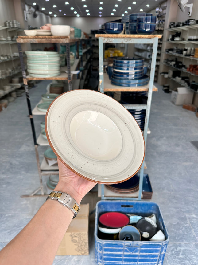 Leftover 9.5 inch Pasta Plate ( Grey Colorline Brown Line With Brown Specks )