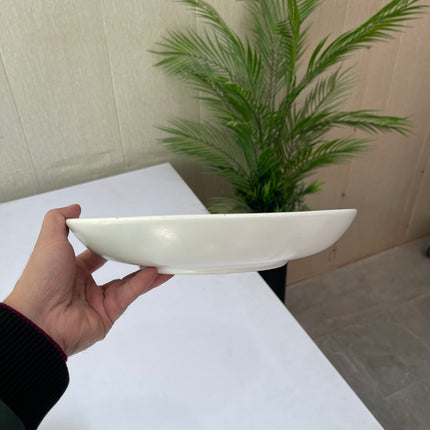 Leftover 10 inch Entree Bowl ( White Matte with Brown Specks )