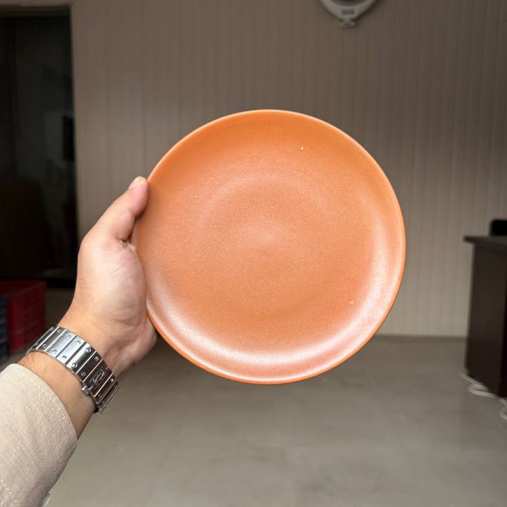 Leftover 8 inch Rimless Plate ( Terracotta matte ) ( Set of 6 )