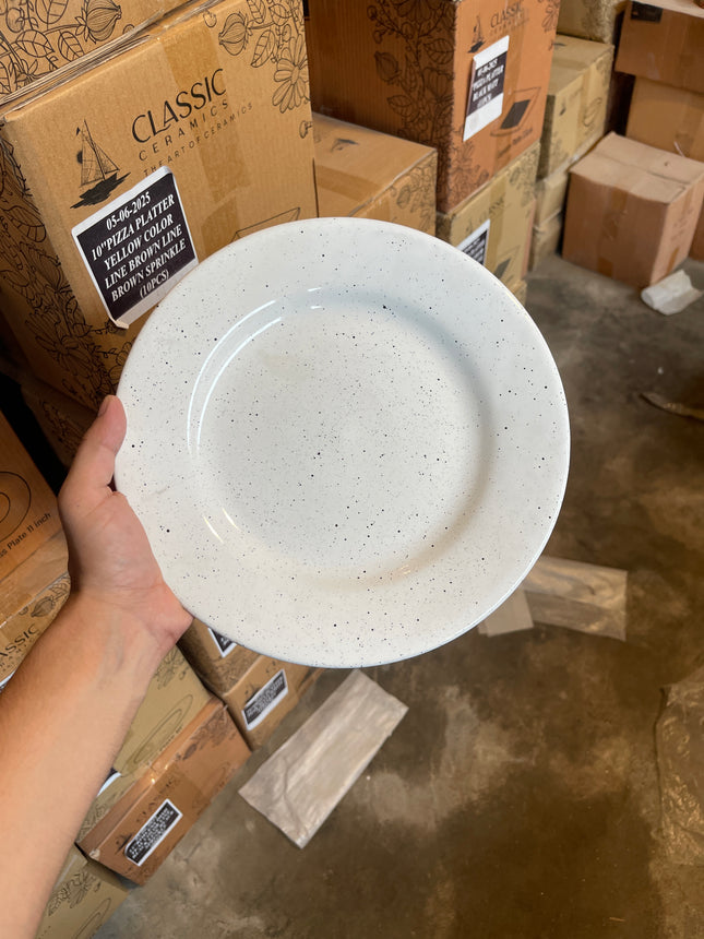 Leftover 10 inch Flat Plate ( Glossy white with Black Specks )