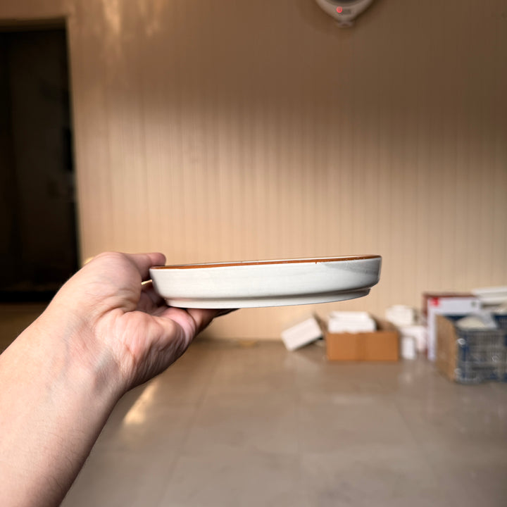Leftover 6 inch Classic Plate ( Ash )