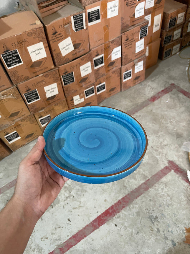 Leftover 8 inch Classic Plate ( Blue Colorline )