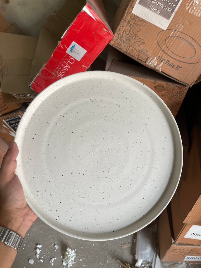 Leftover 12 inch Classic Plate ( White Matte with Black Specks )