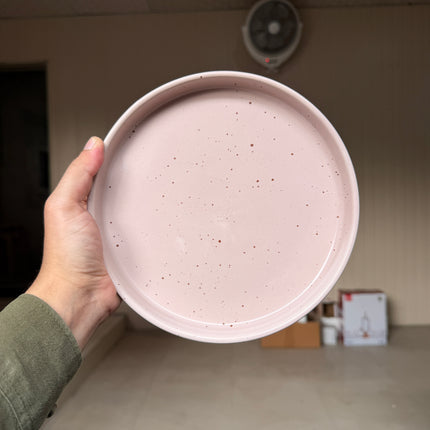 Leftover 8 inch Classic Plate ( Old Rose Matte )
