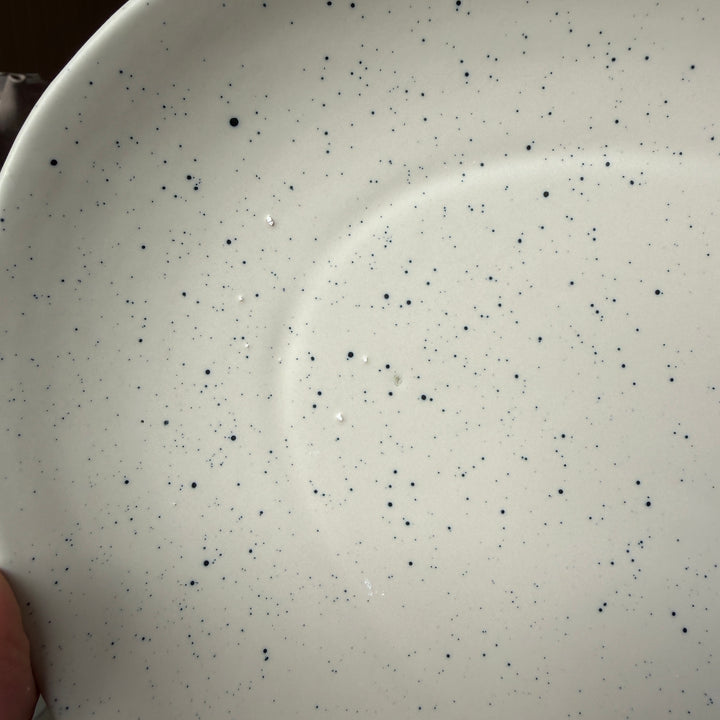 Leftover 13 inch Rimless Rice Dish ( Dune )