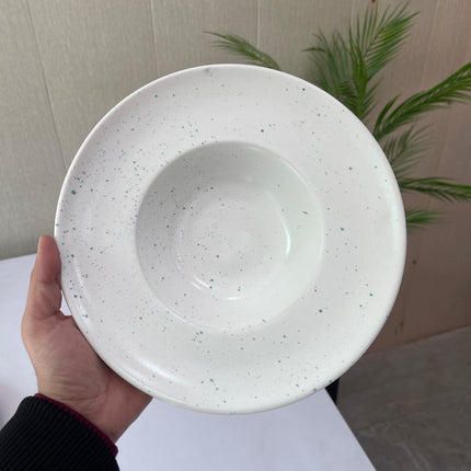 Leftover 9.5 inch Pasta Plate ( White Matte with Teal Specks )
