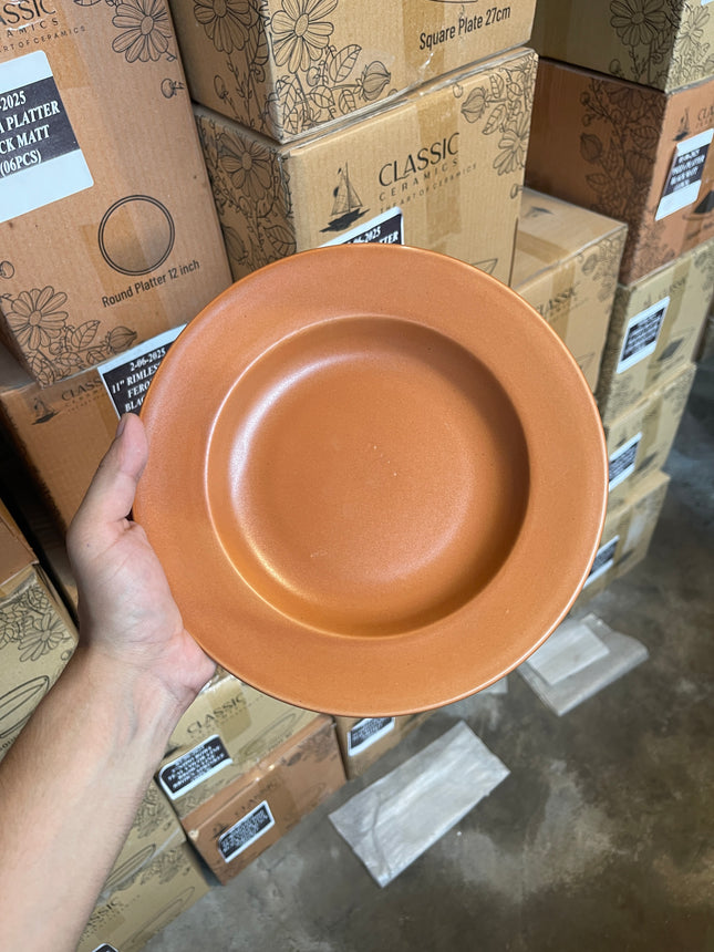 Leftover 9 inch Deep Plate ( Terracotta Matte )