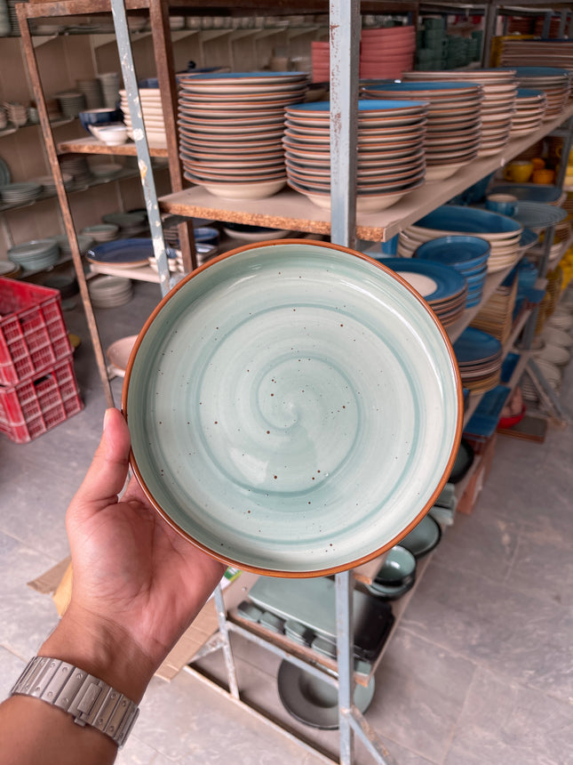 Leftover 8 inch Classic Bowl ( Teal Colorline )