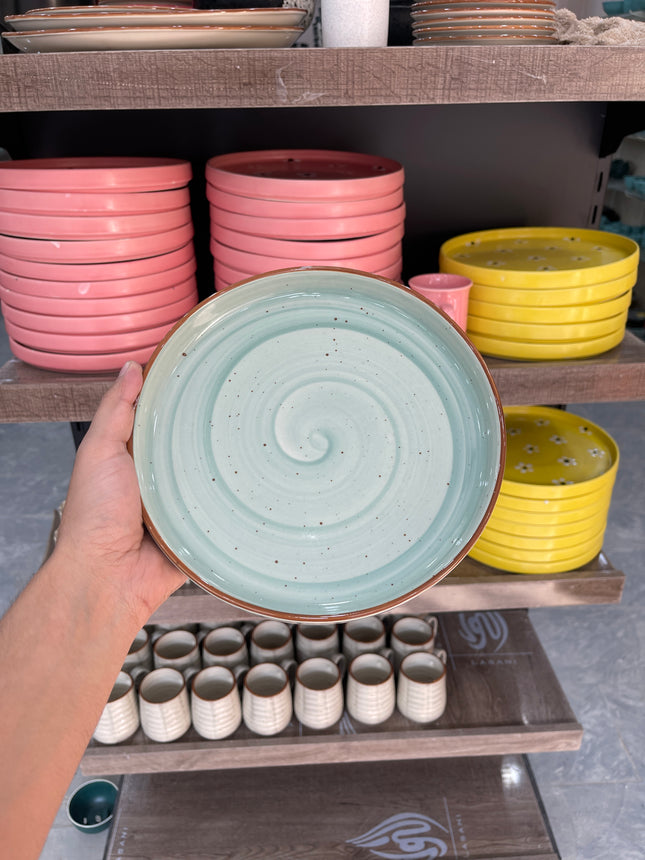 Leftover 8 inch Classic Plate ( Teal Colorline )