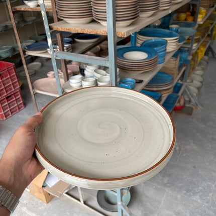 Leftover 10 inch Classic Plate ( Grey Colorline )