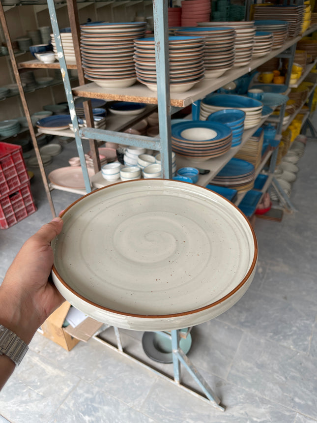 Leftover 10 inch Classic Plate ( Grey Colorline )
