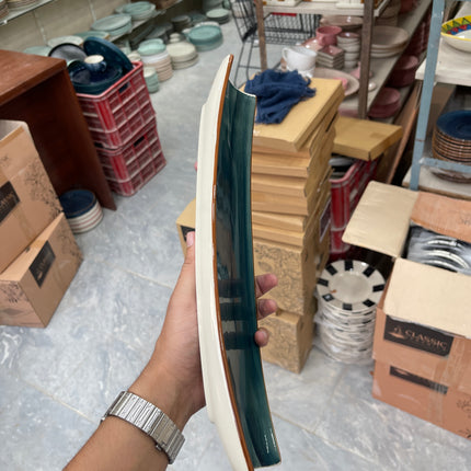 Leftover Curved Sushi Platter ( Peacock Green Colorline )