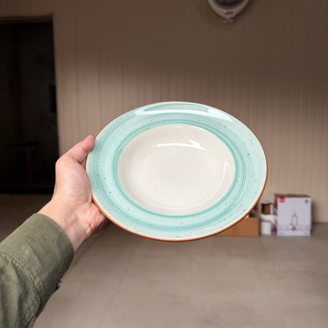 Leftover 9 inch Deep wide Plate ( Breeze )