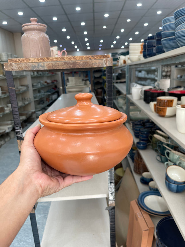 Leftover 8 inch Matka Handi ( Skin Matt )