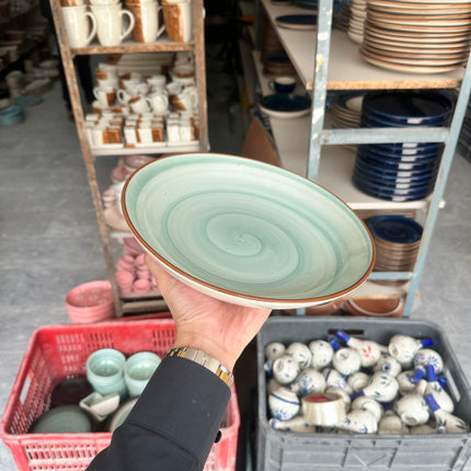 Leftover 10 inch Entree Bowl ( Teal Colorline Brown line )
