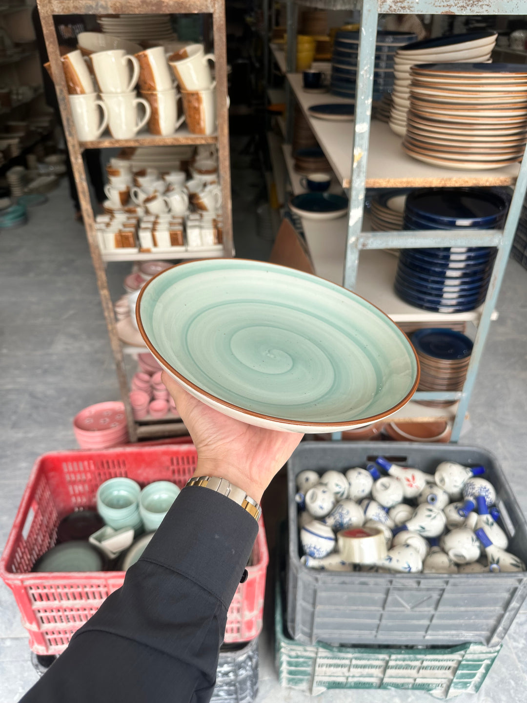 Leftover 10 inch Entree Bowl ( Breeze with brown rim )