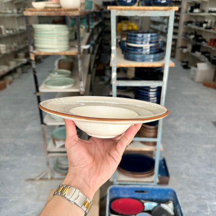 Leftover 9.5 inch Pasta Plate ( Grey Colorline Brown Line With Brown Specks )